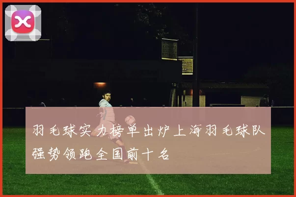 羽毛球实力榜单出炉上海羽毛球队强势领跑全国前十名