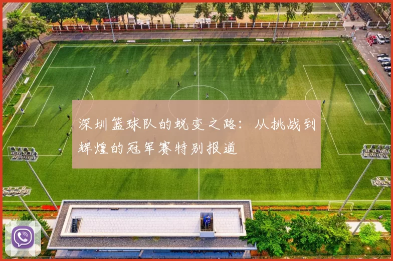 深圳篮球队的蜕变之路：从挑战到辉煌的冠军赛特别报道
