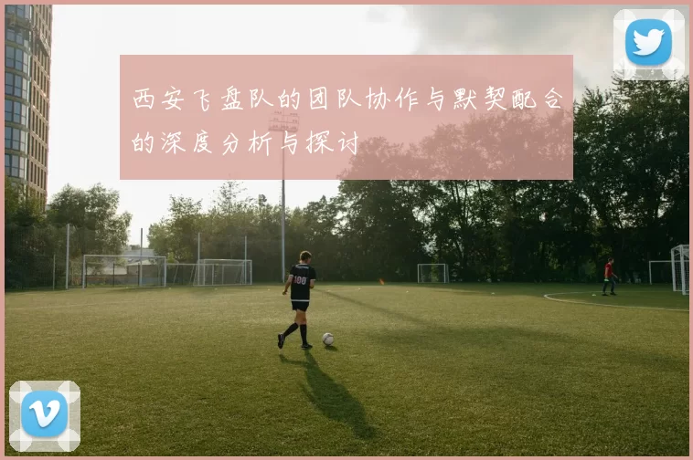 西安飞盘队的团队协作与默契配合的深度分析与探讨