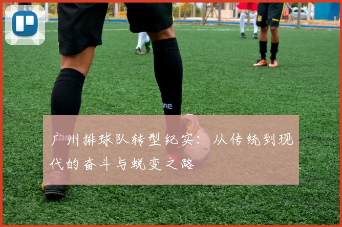 广州排球队转型纪实：从传统到现代的奋斗与蜕变之路