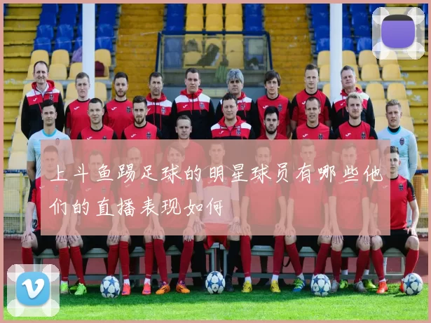 上斗鱼踢足球的明星球员有哪些他们的直播表现如何