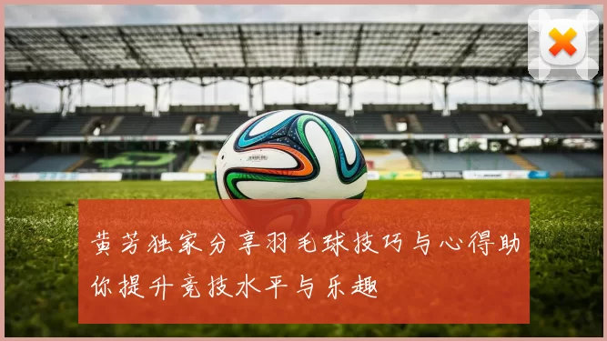 黄芳独家分享羽毛球技巧与心得助你提升竞技水平与乐趣