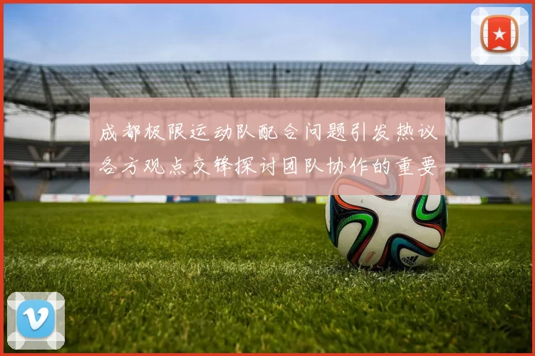 成都极限运动队配合问题引发热议各方观点交锋探讨团队协作的重要性