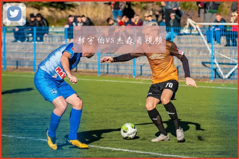 郑宇伯vs杰森肖视频