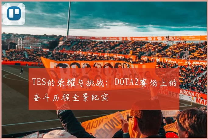 TES的荣耀与挑战：DOTA2赛场上的奋斗历程全景纪实