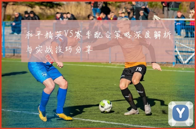 和平精英V5赛季配合策略深度解析与实战技巧分享