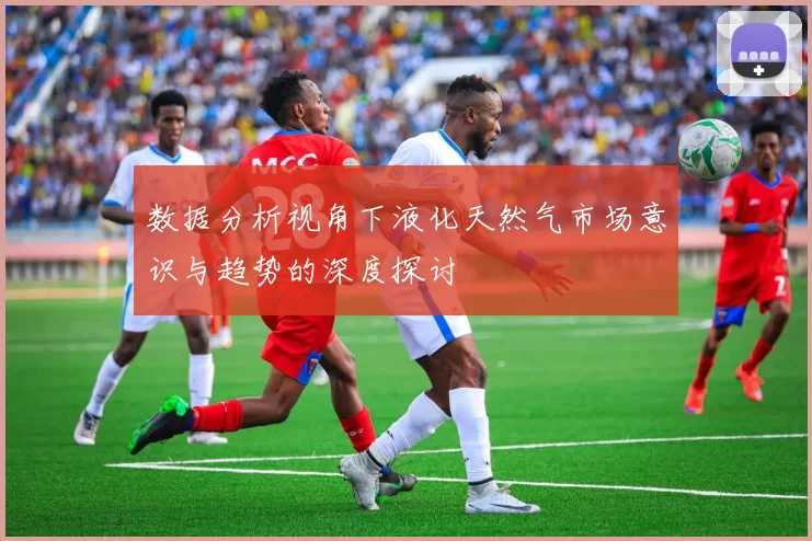 数据分析视角下液化天然气市场意识与趋势的深度探讨