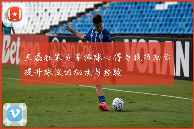 王磊独家分享排球心得与技巧助你提升球技的秘诀与经验