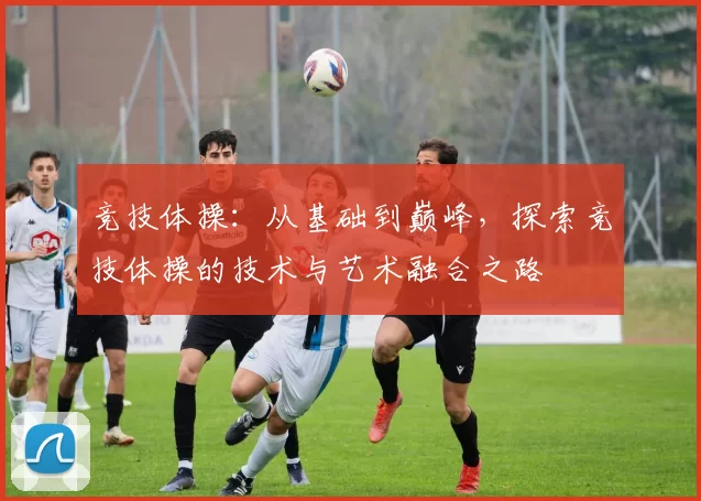 竞技体操：从基础到巅峰，探索竞技体操的技术与艺术融合之路