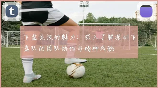 飞盘竞技的魅力：深入了解深圳飞盘队的团队协作与精神风貌