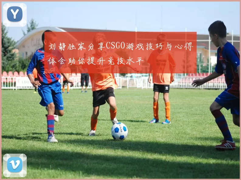 刘静独家分享CSGO游戏技巧与心得体会助你提升竞技水平