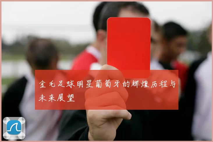 金毛足球明星葡萄牙的辉煌历程与未来展望